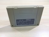 UF1189 Doukyuusei 2 Dokyusei BOXED SNES Super Famicom Japan