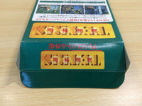 UF1191 Tetris Battle Gaiden BOXED SNES Super Famicom Japan