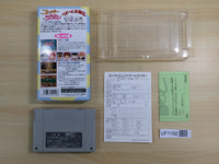UF1192 Super Zugan Mahjong BOXED SNES Super Famicom Japan