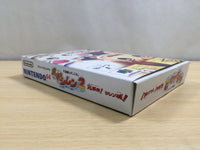UF1211 Fushigi no Dungeon Furai no Shiren 2 BOXED N64 Nintendo 64 Japan