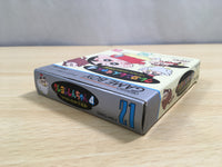 UF1226 Crayon Shinchan 4 BOXED GameBoy Game Boy Japan