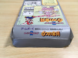 UF1237 Super Mario Land 2 6 Golden Coins BOXED GameBoy Game Boy Japan