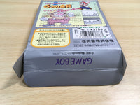 UF1237 Super Mario Land 2 6 Golden Coins BOXED GameBoy Game Boy Japan