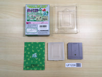 UF1238 Pokemon Green BOXED GameBoy Game Boy Japan