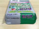 UF1238 Pokemon Green BOXED GameBoy Game Boy Japan