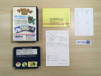 UF1256 Wagan Land 2 BOXED NES Famicom Japan
