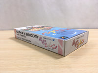UF1297 Mystery Dungeon Fushigi no Dungeon 2 BOXED SNES Super Famicom Japan