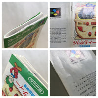 UF1308 Sim City BOXED SNES Super Famicom Japan