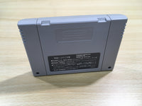 UF1316 Super Fire Pro Wrestling Special BOXED SNES Super Famicom Japan