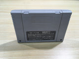UF1321 Gourmet Sentai Bara Yarou Bishoku BOXED SNES Super Famicom Japan