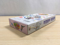 UF1321 Gourmet Sentai Bara Yarou Bishoku BOXED SNES Super Famicom Japan