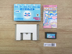 UF1340 Made in Wario Mario BOXED GameBoy Advance Japan