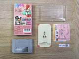 UF1362 Super Mario World 2 Yoshi's Island BOXED SNES Super Famicom Japan