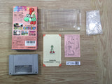 UF1364 Super Mario World 2 Yoshi's Island BOXED SNES Super Famicom Japan
