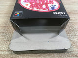 UF1381 Lady Stalker Kako kara no Chousen BOXED SNES Super Famicom Japan