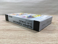 UF1419 F Zero BOXED SNES Super Famicom Japan