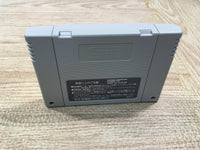 UF1428 Super Nazo Puyo Rulue no Roux Puyo Puyo BOXED SNES Super Famicom Japan