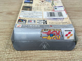 UF1452 Hunter x Hunter Hunter no Keifu BOXED GameBoy Game Boy Japan