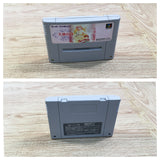 UF1515 Tenshi no Uta Shiroki Tsubasa no Inori BOXED SNES Super Famicom Japan