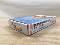 UF1521 Mystery Dungeon Fushigi no Dungeon 2 BOXED SNES Super Famicom Japan
