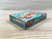 UF1575 Tag Team Pro Wrestling BOXED NES Famicom Japan