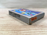 UF1585 Clu Clu Land BOXED NES Famicom Japan