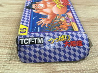UF1601 Tsuppari Ozumo Sumo BOXED NES Famicom Japan
