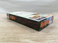UF1624 Bastard!! Ankoku no Hakaishin BOXED SNES Super Famicom Japan