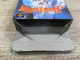 UF1624 Bastard!! Ankoku no Hakaishin BOXED SNES Super Famicom Japan