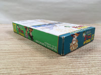 UF1629 Dragon Ball Z Super Butouden 3 BOXED SNES Super Famicom Japan