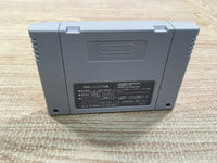 UF1630 Ranma 1/2 Chougi Ranbu Hen BOXED SNES Super Famicom Japan