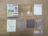 UF1754 Dr. Mario BOXED GameBoy Game Boy Japan