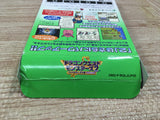 UF1793 Dragon Quest Monsters 2 Ruka BOXED GameBoy Game Boy Japan