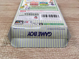 UF1800 Mario Tennis GB BOXED GameBoy Game Boy Japan