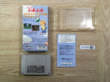 UF1865 Super Puyo Puyo BOXED SNES Super Famicom Japan