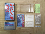 UF1867 Banshee's Last Cry Kamaitachi no Yoru BOXED SNES Super Famicom Japan