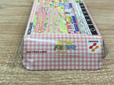 UF1890 Mirmo Mirumo de Pon BOXED GameBoy Advance Japan