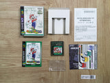 UF1971 Mario Golf GB BOXED GameBoy Game Boy Japan