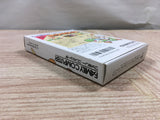 UF1996 Yoshi Cookie Yossy BOXED NES Famicom Japan