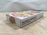 UF2045 Hanjuku Hero BOXED SNES Super Famicom Japan