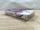 UF2093 Treasure of the Rudras Rudra no Hihou BOXED SNES Super Famicom Japan