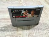 UF2113 Zen Nippon ProWrestling BOXED SNES Super Famicom Japan