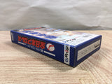 UF2113 Zen Nippon ProWrestling BOXED SNES Super Famicom Japan