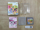 UF2218 Sailor Moon R BOXED GameBoy Game Boy Japan