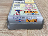 UF2228 Super Mario Land 2 6 Golden Coins BOXED GameBoy Game Boy Japan