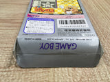 UF2230 Mario's Picross BOXED GameBoy Game Boy Japan