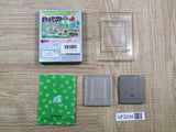 UF2234 Pokemon Green BOXED GameBoy Game Boy Japan