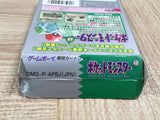 UF2234 Pokemon Green BOXED GameBoy Game Boy Japan