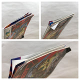 UF2245 Keitai Denju Telefang Power Ver. BOXED GameBoy Game Boy Japan