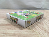 UF2249 Harvest Moon Bokujo Monogatari 2 GB BOXED GameBoy Game Boy Japan